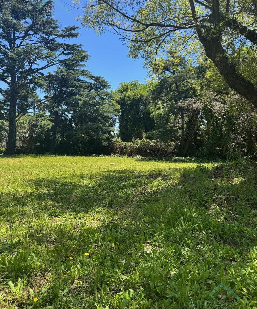 Foto de Terreno en Santa Rita, imagen 3