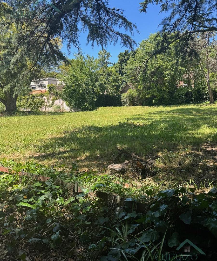 Foto de Terreno en Santa Rita, imagen 2
