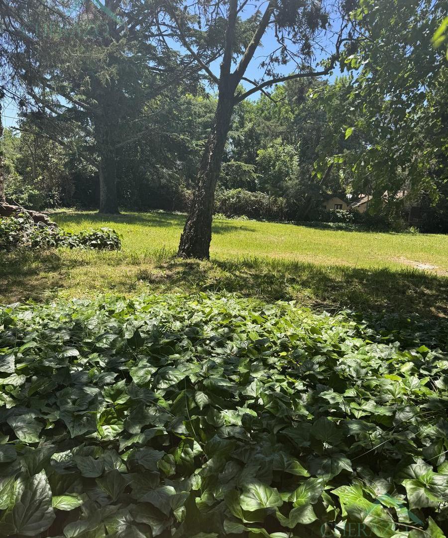 Foto de Terreno en Santa Rita, imagen 4