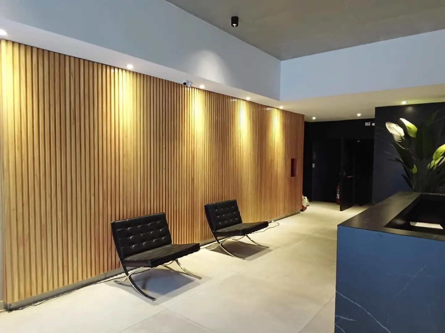 Alquiler monoambiente super amplio 2