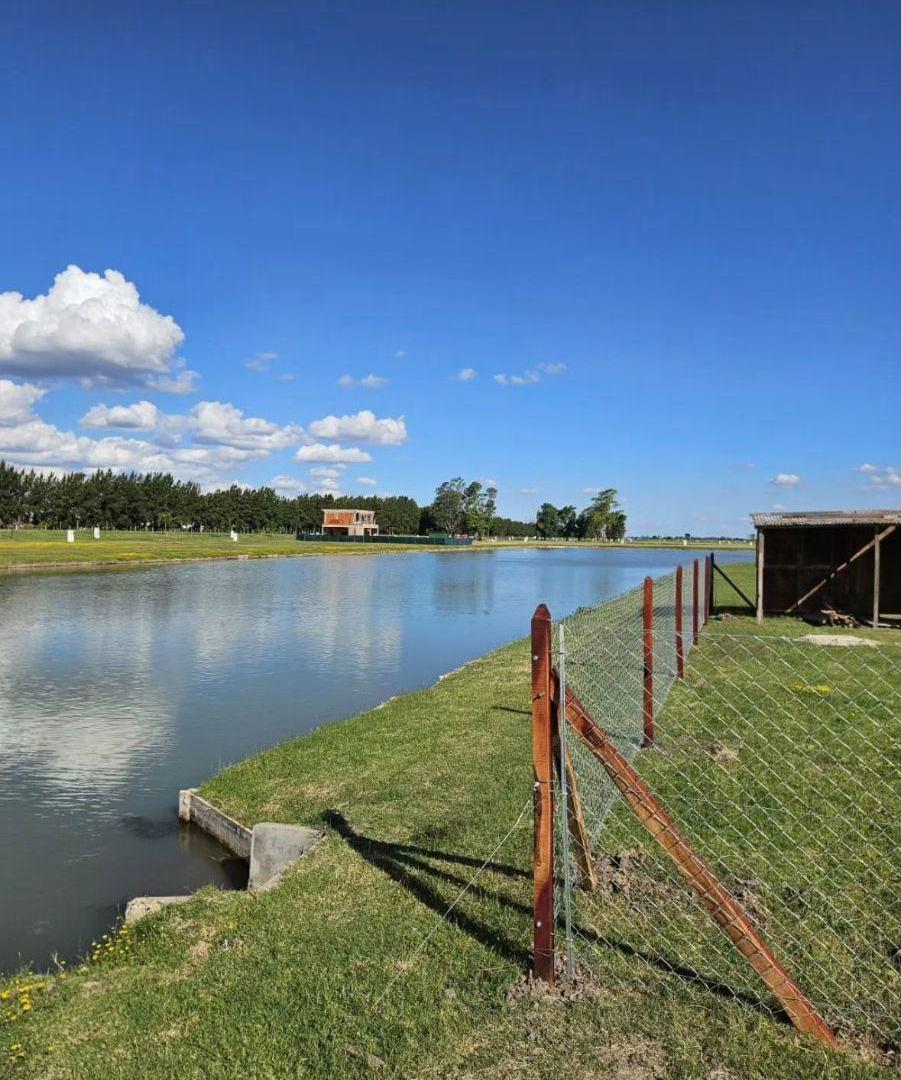 Foto de Venta de Lote en B. C Las Victorias, imagen 3