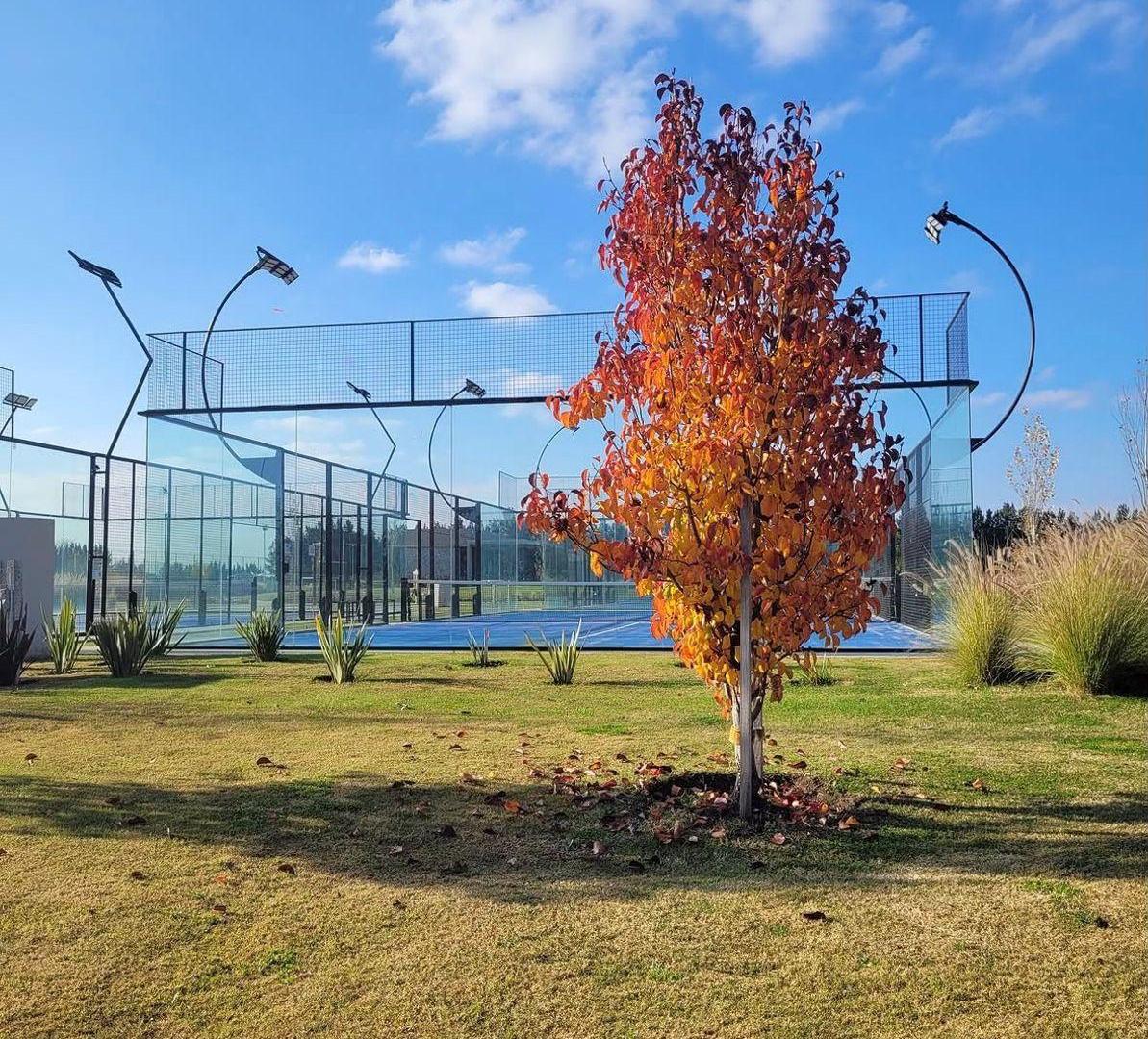 Foto de Venta de Lote en B. C Las Victorias, imagen 2