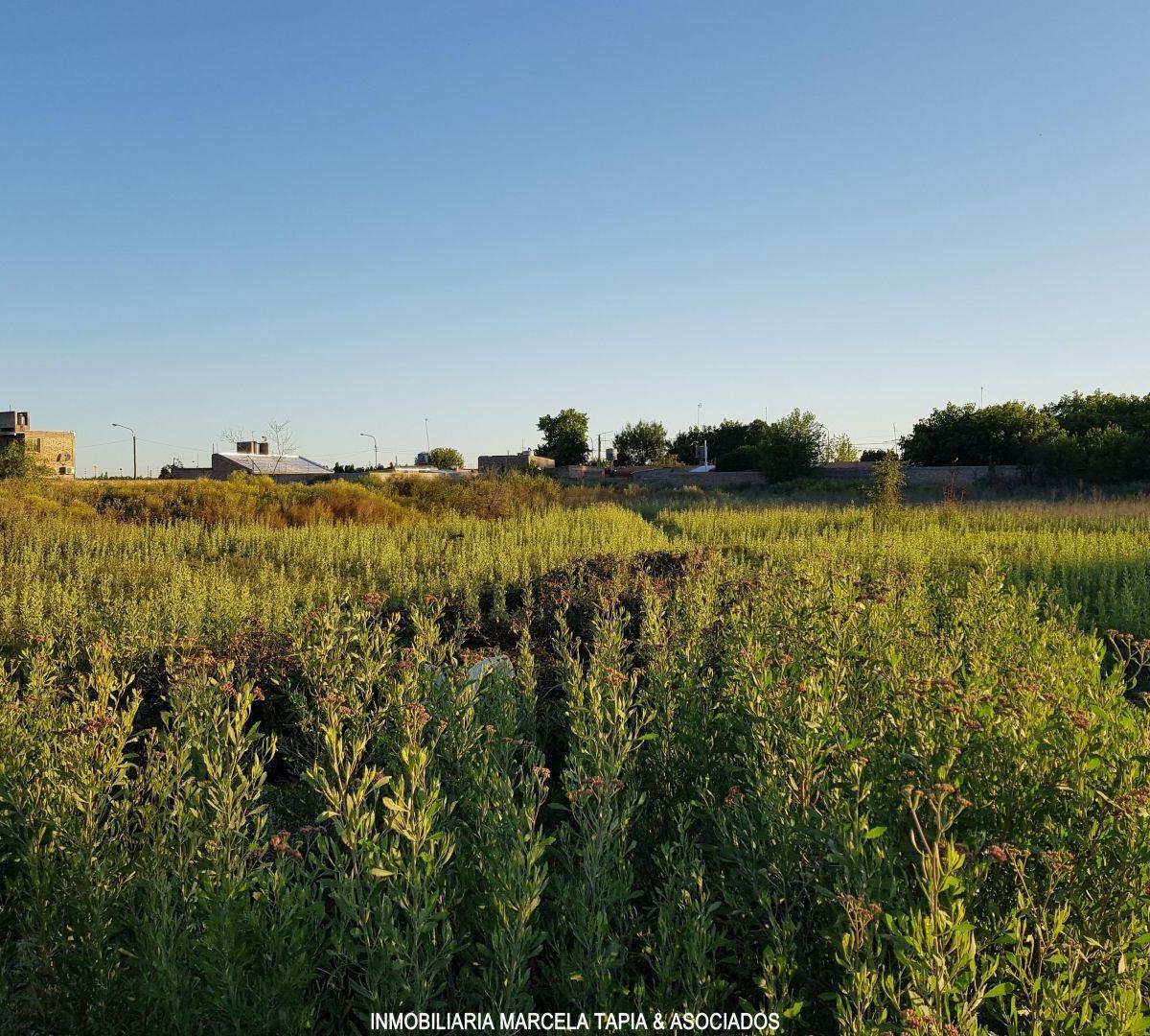 Lote. | Carril Norte 1