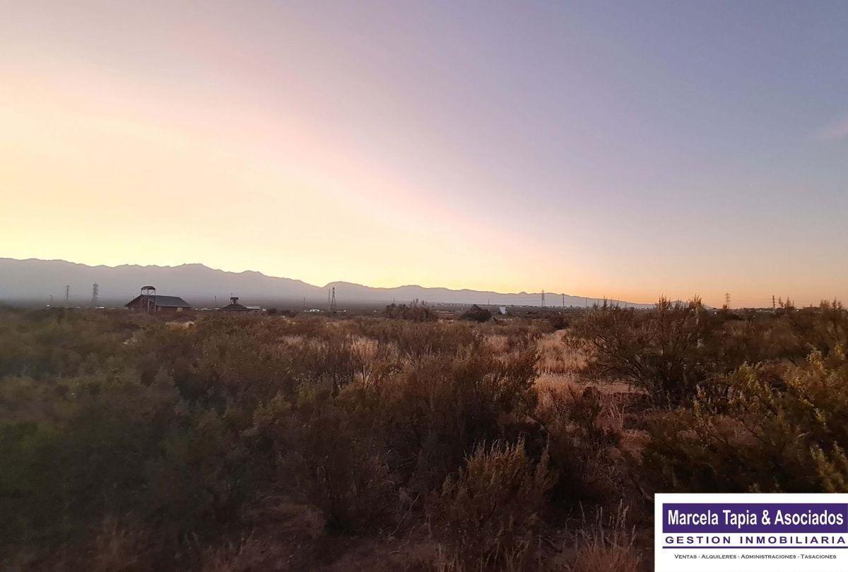 Venta de Lote en Barrio El Mollar, Luján de Cuyo, Mendoza 4