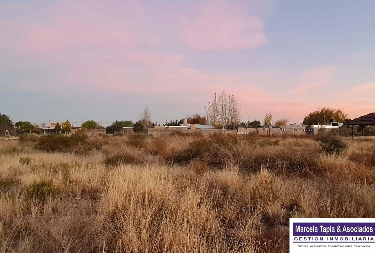Venta de Lote en Barrio El Mollar, Luján de Cuyo, Mendoza 5