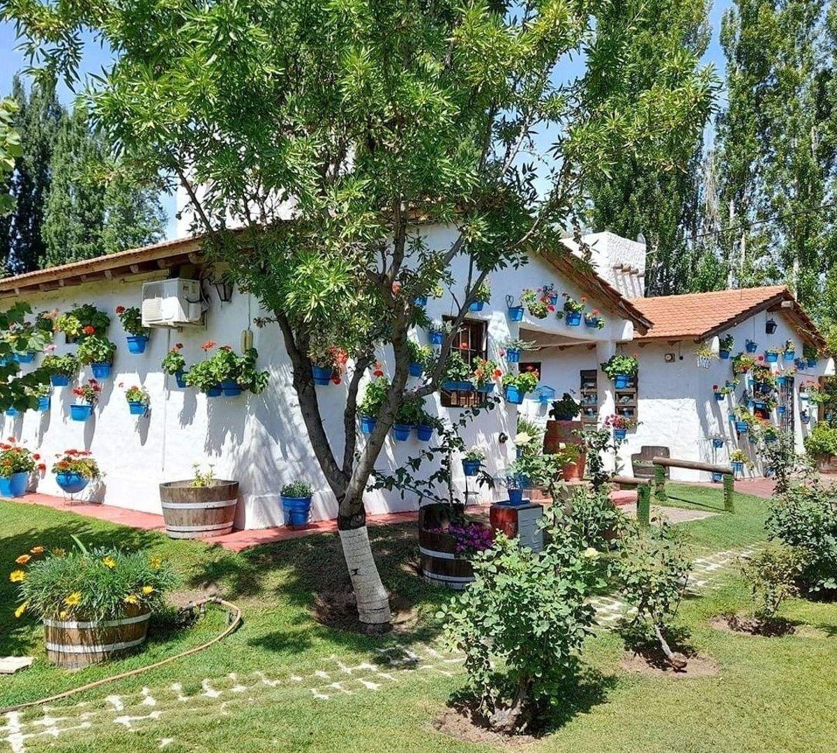 Foto de Complejo en venta de 345 m2 en Vistalba, Luján de Cuyo - 7 dormitorios, imagen 1