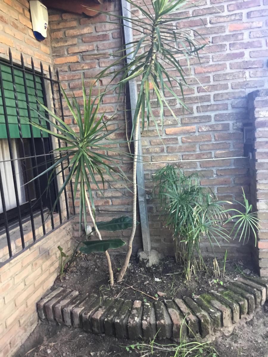Amplio PH Doble Planta Entrada por 2 Calles. Apto Crédito Hipotecario 5