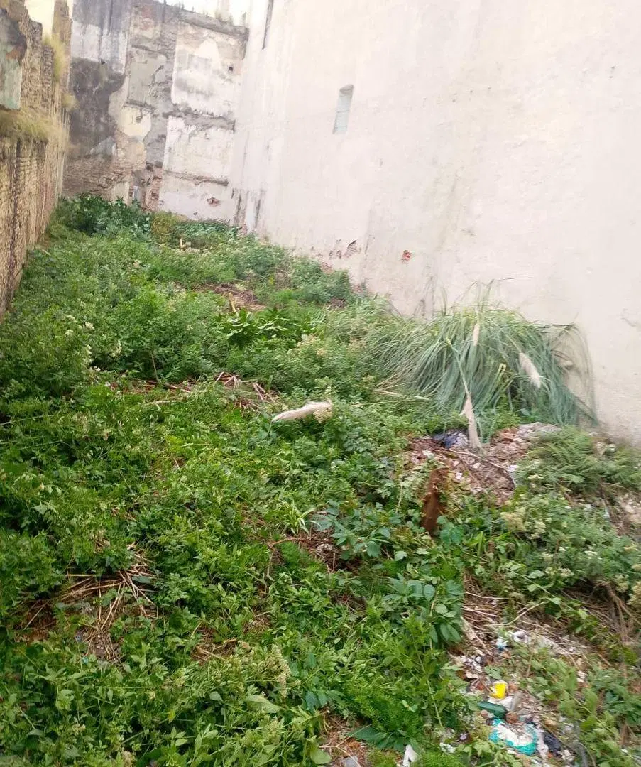 VENTA LOTE 262m2 - SAN NICOLAS 2