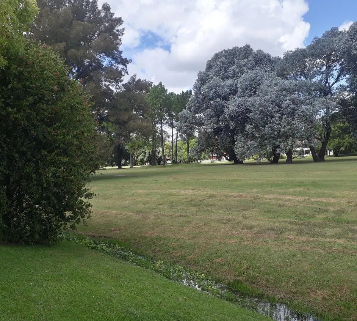 Casa sana y sólida, buen estado, con un lote al Golf único de 930 m² con 40 mts de frente 5
