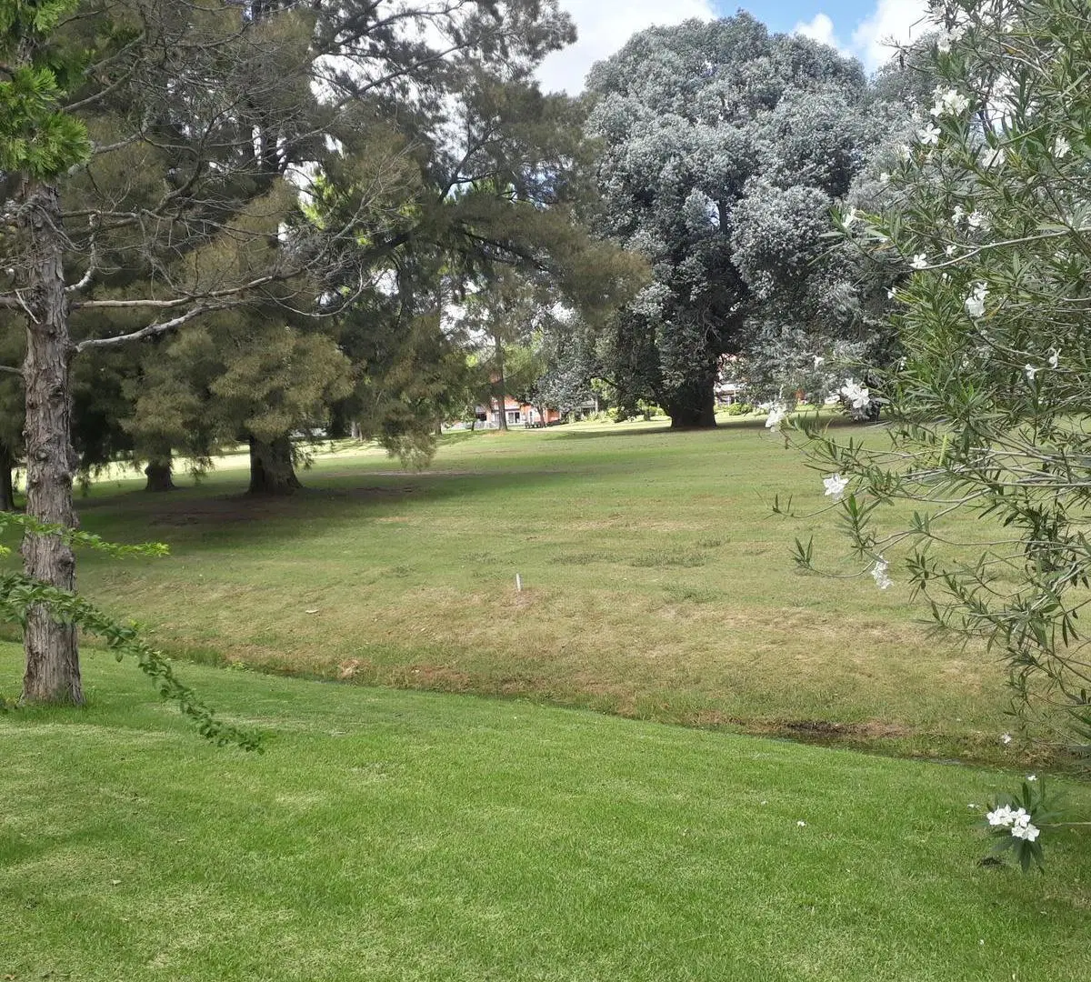Casa sana y sólida, buen estado, con un lote al Golf único de 930 m² con 40 mts de frente 4