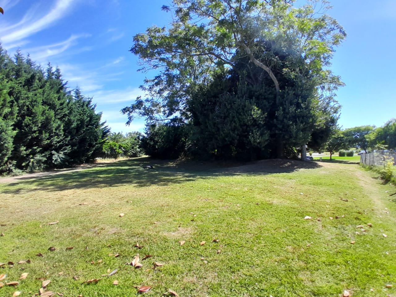 Foto de Lote 1080 m² - Barrio San Matías, imagen 4