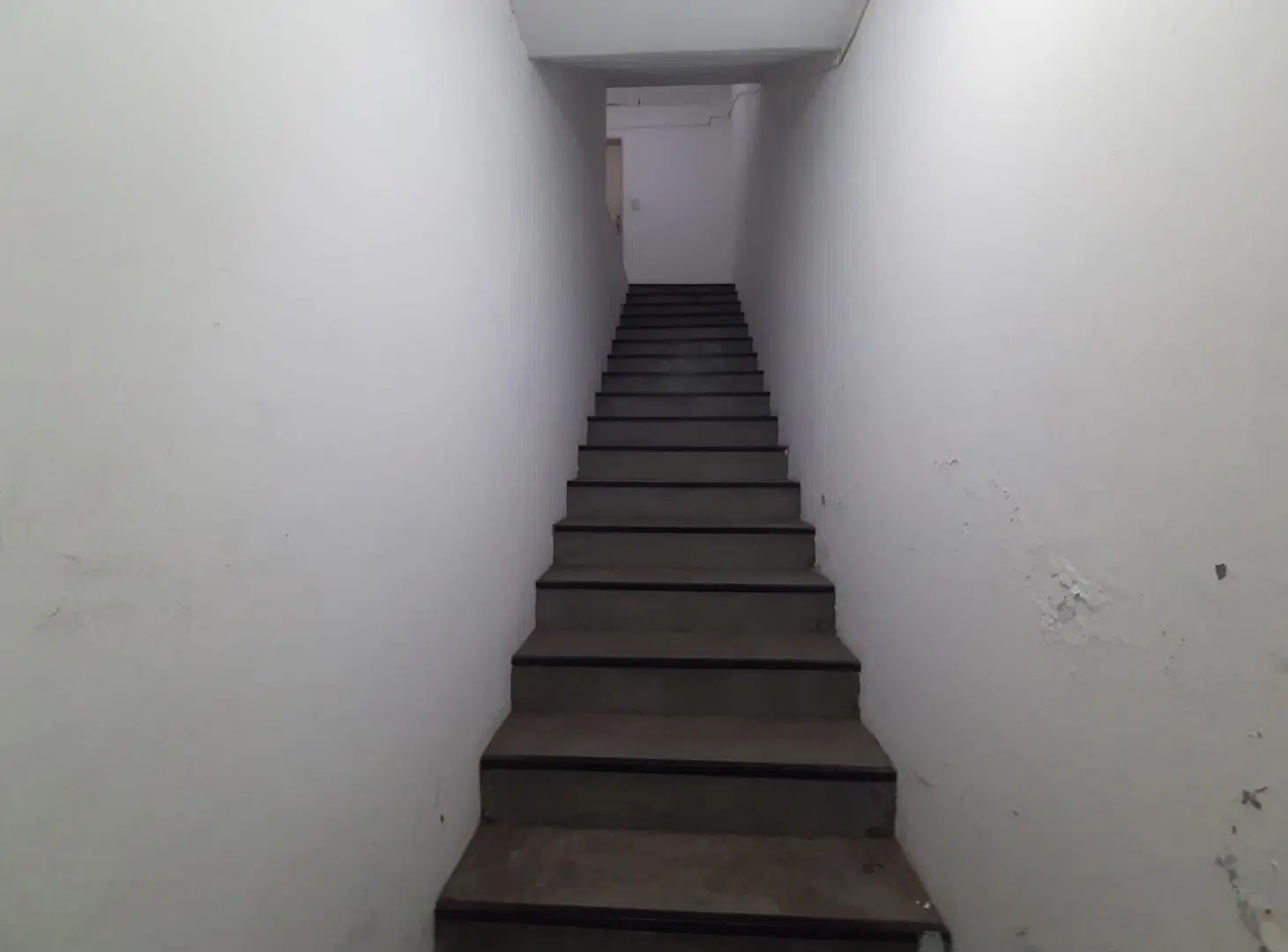 Monoambiente en Alquiler en Jose León Suarez 1