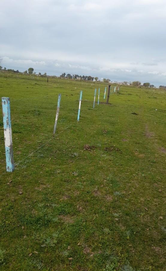 Foto de Lotes terreno en Azul Prov. de Bs. As, imagen 4