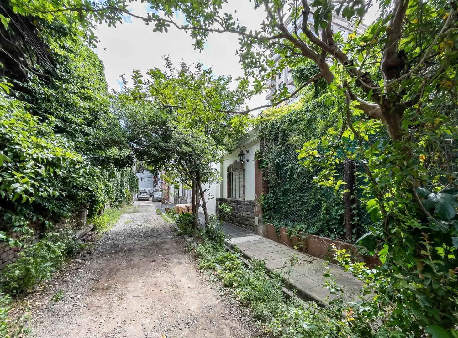 OFICINA COMERCIAL EN VENTA SOBRE TERRENO PROPIO 4