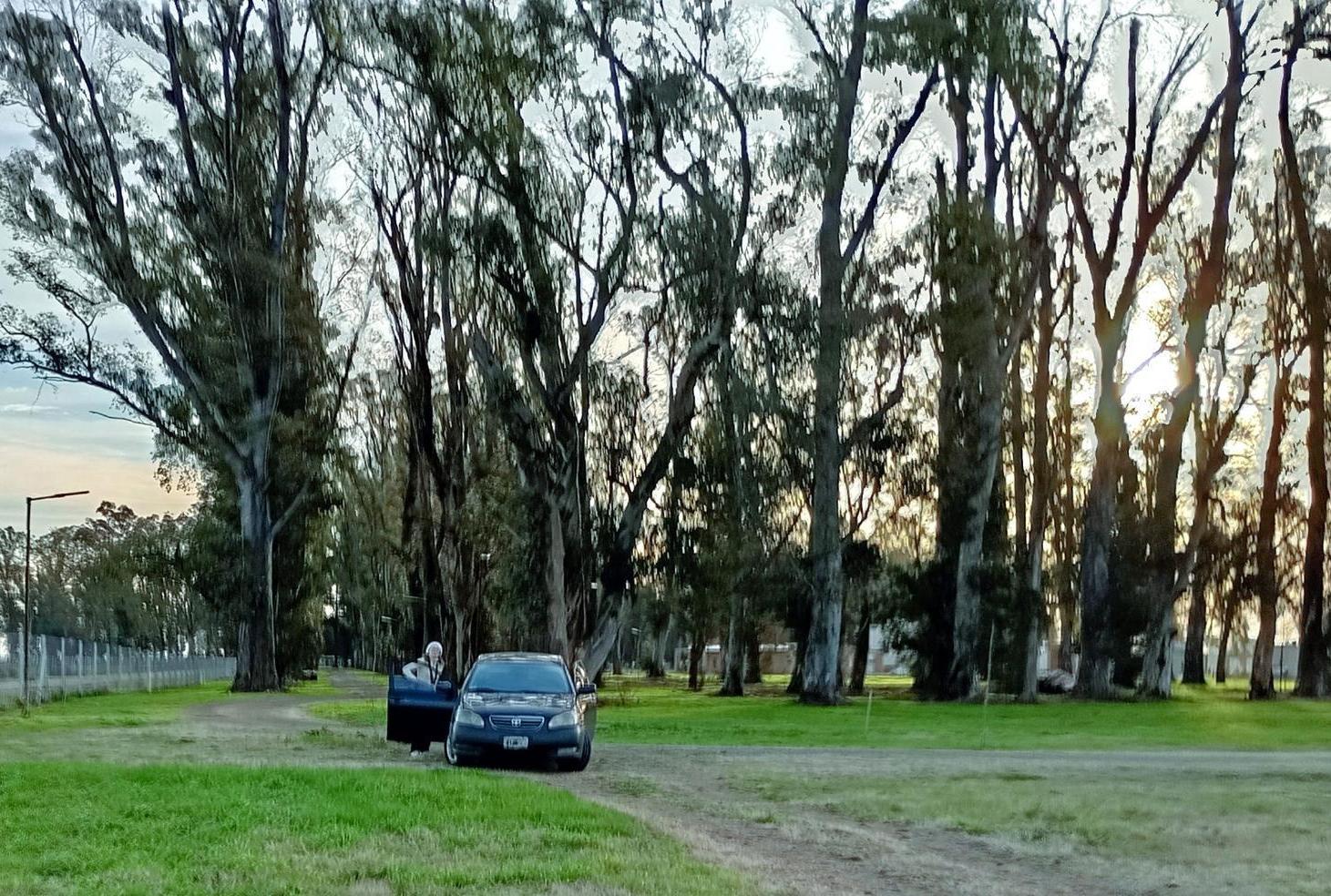 Imagen de la propiedad