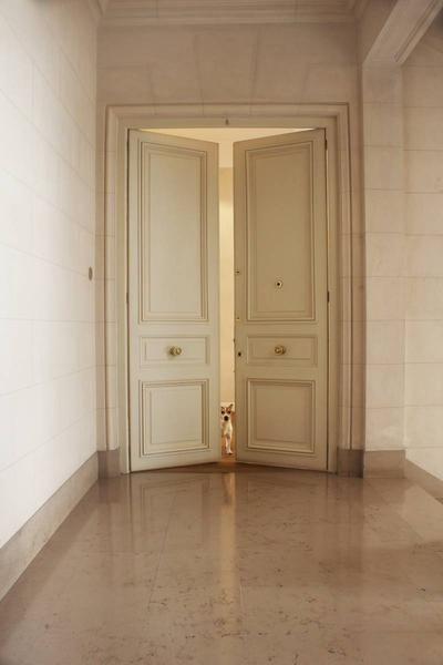 Residencia Señorial en Av Alvear con 2 Suites y Dependencia 4