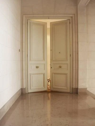 RESERVADO. Residencia señorial en Av. Alvear con 2 suites y dependencia 3