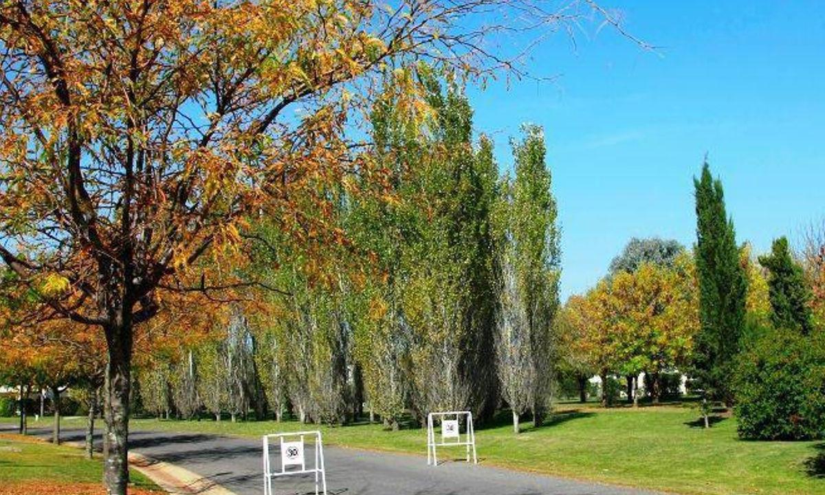Foto de Terreno en Barrio Cerrado Los Jazmines - Pilar del Este - Pilar, imagen 3