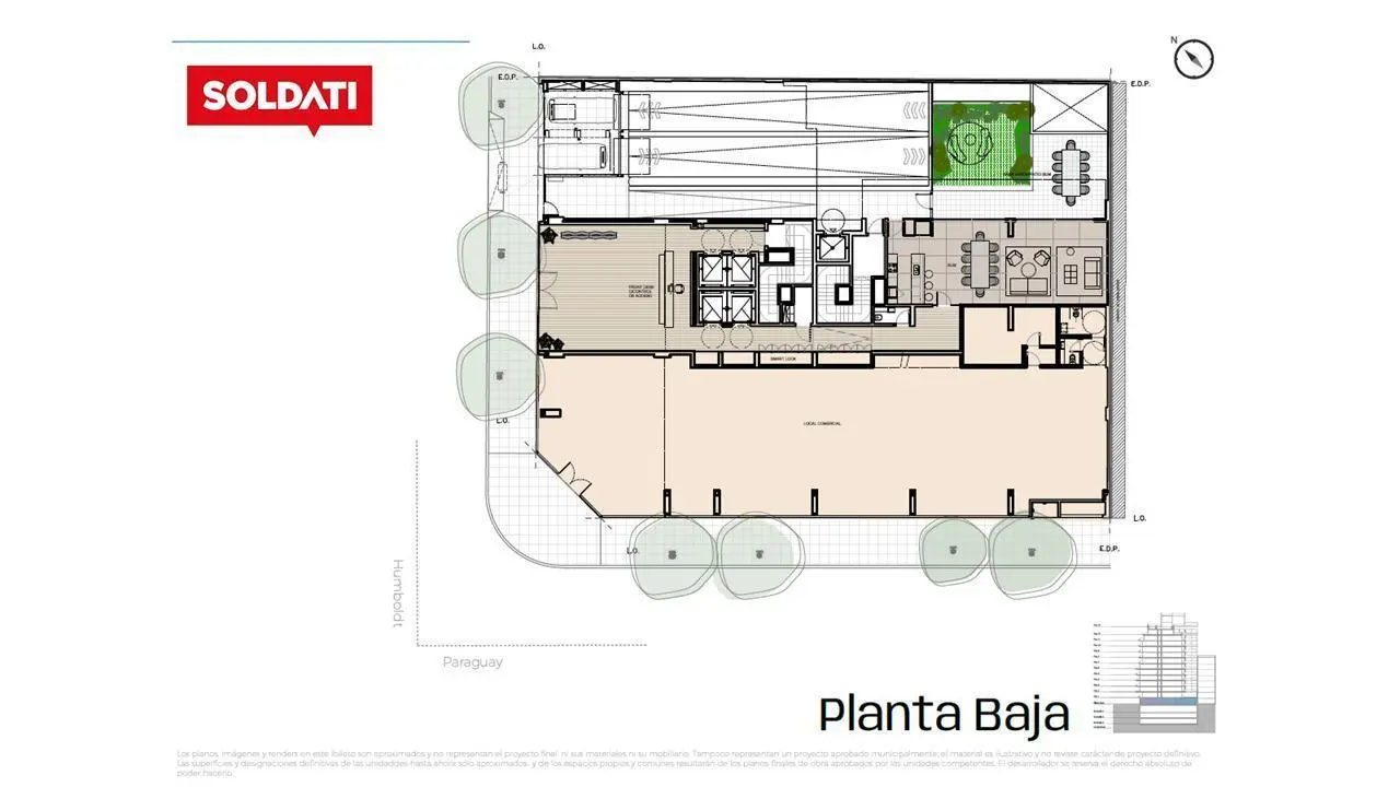 Plano 6