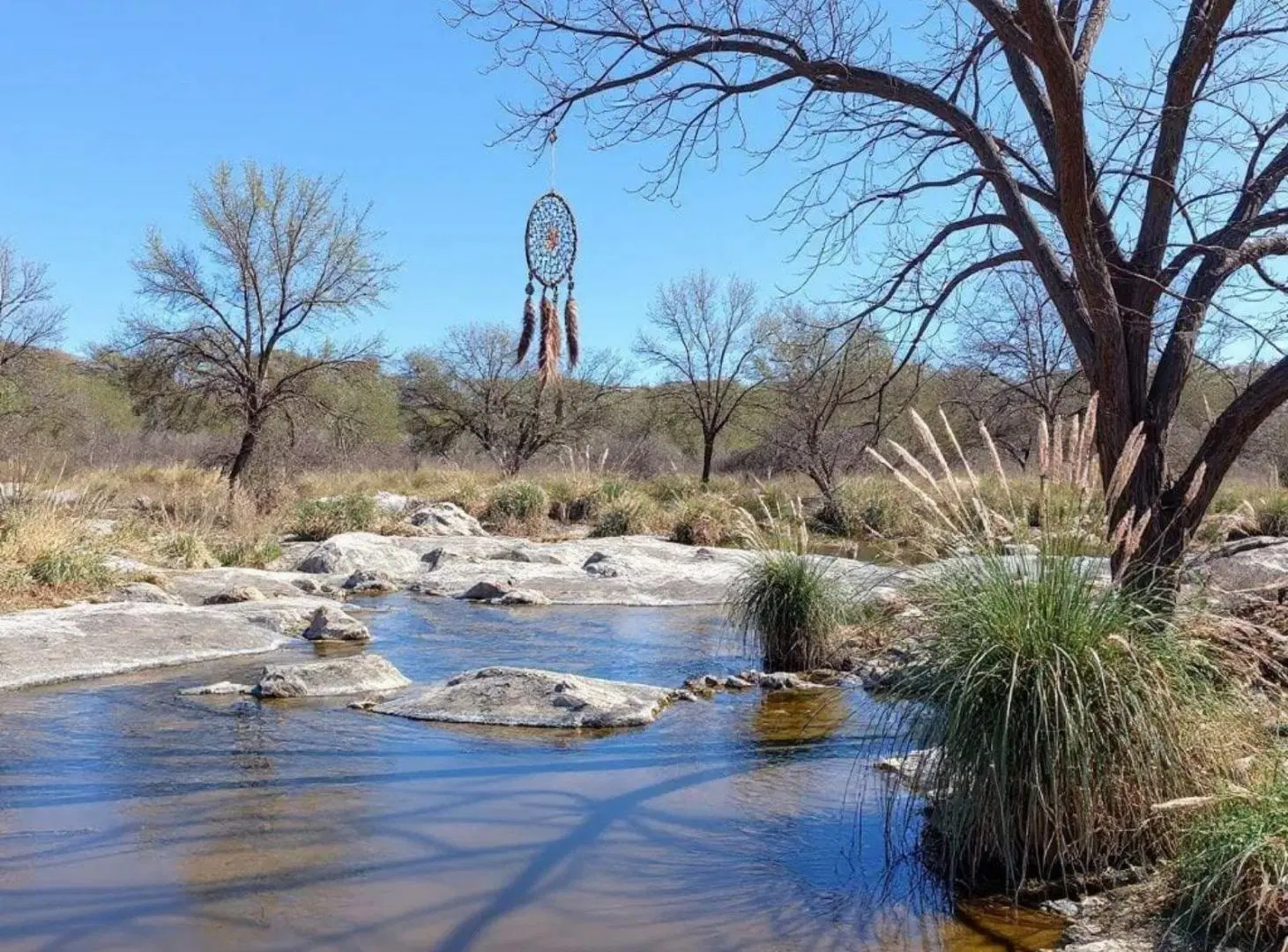 Venta ,Campo 178 HA en Salsacate ,Traslasierra 4
