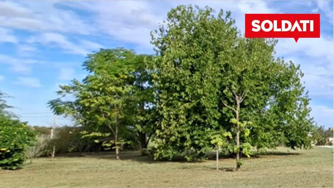 Venta Terreno 1