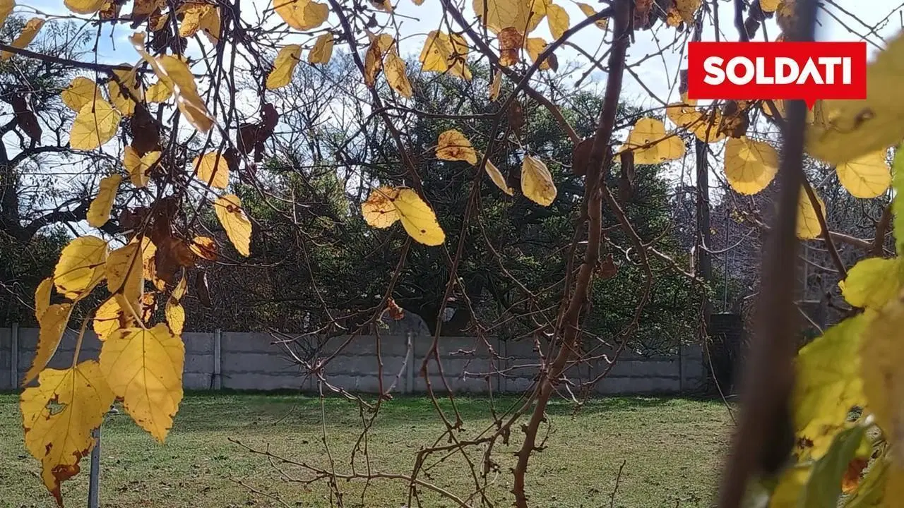 Venta Terreno 5