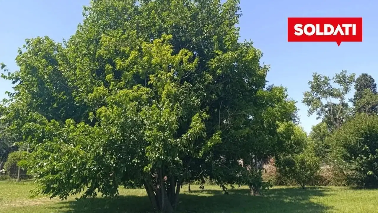 Venta Terreno 4