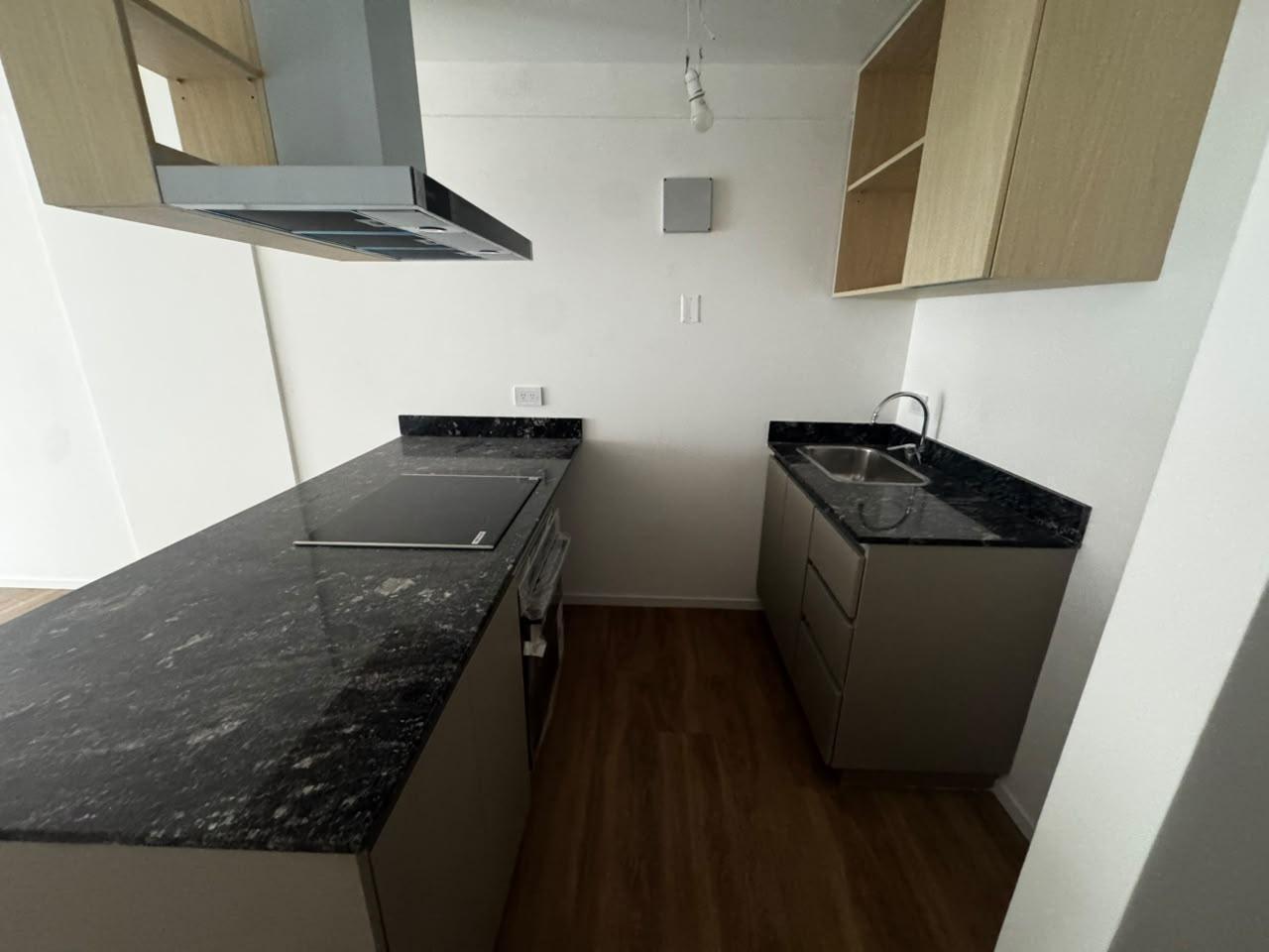 Foto de Alquiler monoambiente en Belgrano Barrancas, imagen 2