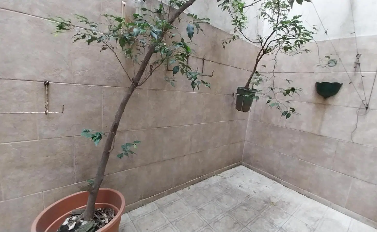 Departamento 3 ambientes frente. Planta baja. 4