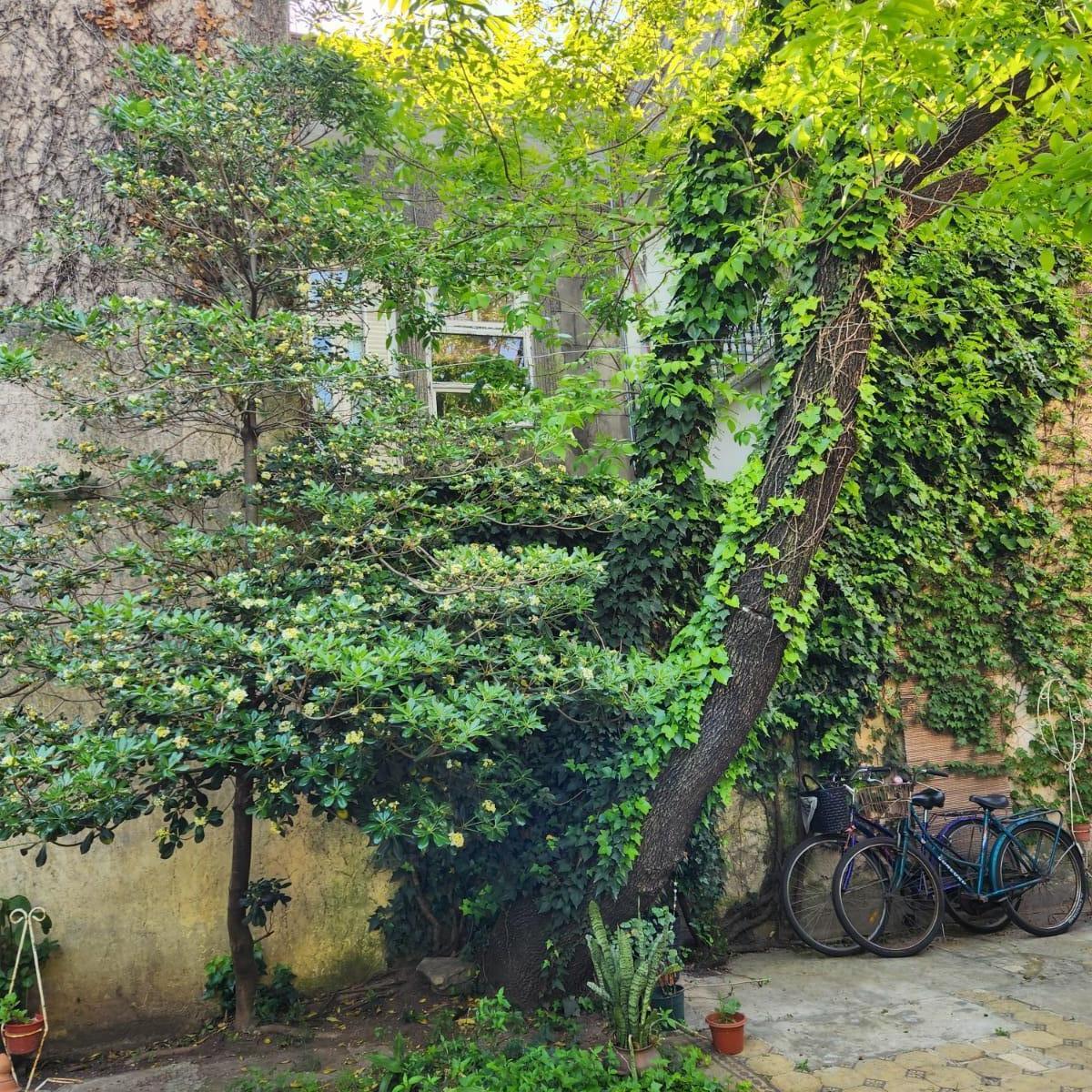 Colegiales Venta Conesa Entre Maure y Jorge Newbery 2
