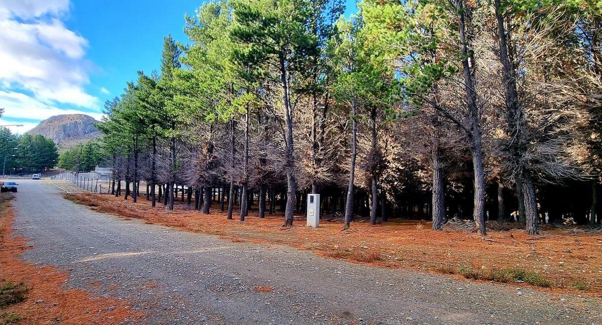 Venta de Lote en PH en Dina Huapi, San Carlos de Bariloche 3
