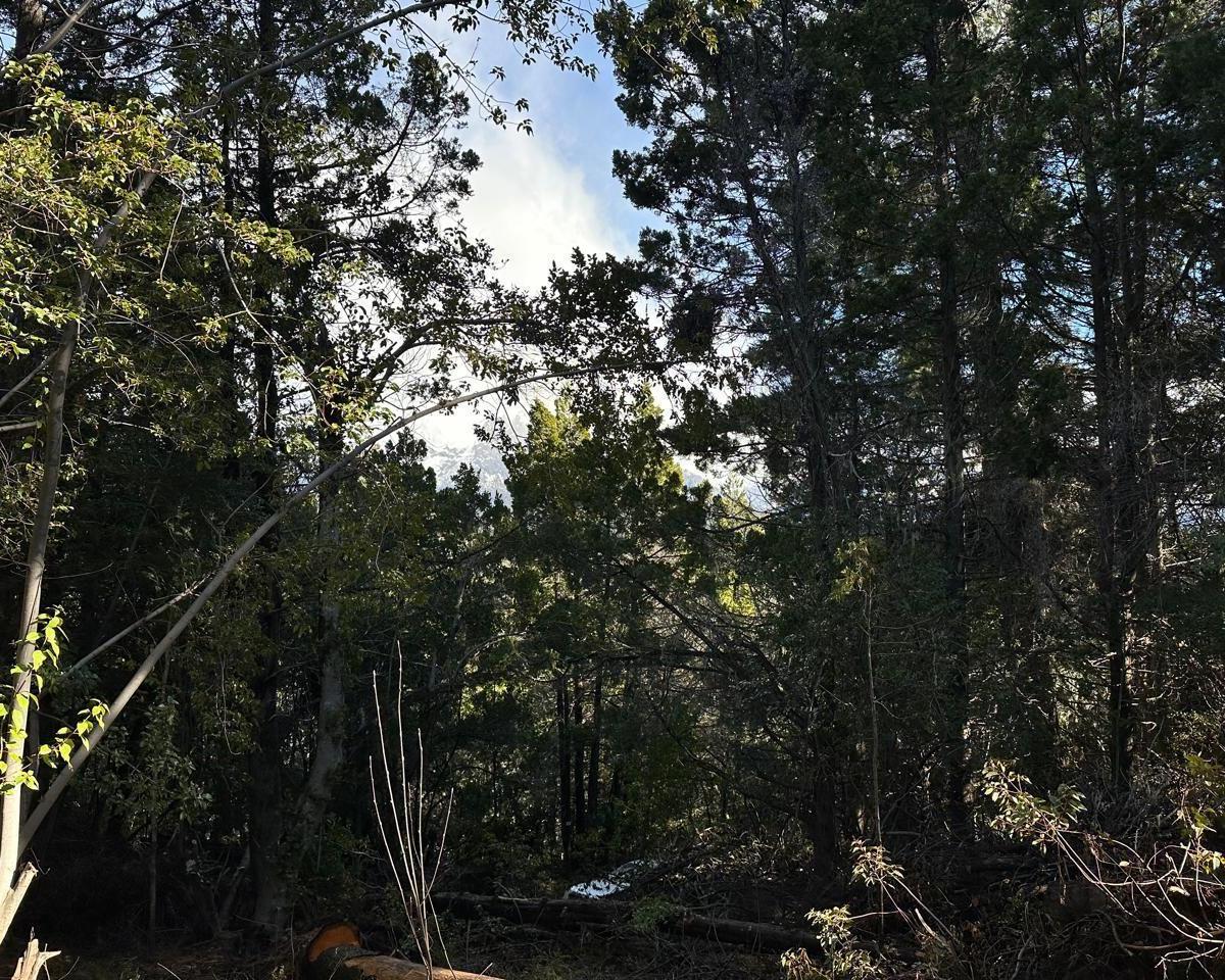 Lote en Venta con Vista Al Lago, Villa Campanario, Bariloche 5