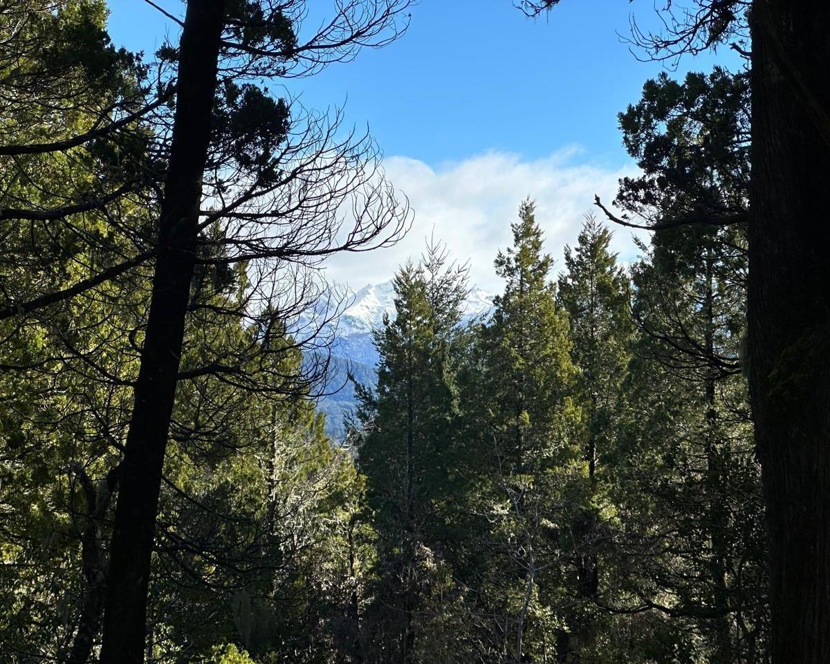 Lote en Venta con Vista Al Lago, Villa Campanario, Bariloche 3
