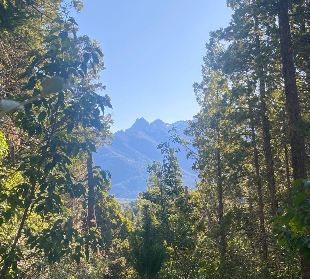 Lote en Venta con Vista Al Lago, Villa Campanario, Bariloche 4