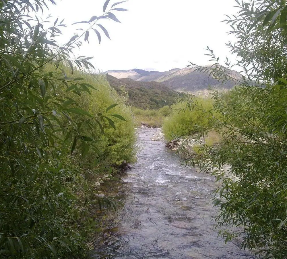 Fracción en VENTA EN EL BOLSON RUTA 40 KM 1931,  CASA, ZOOM 3