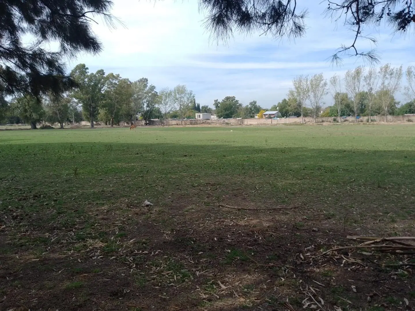Venta Predio Para Loteo 9 Hectareas Ruta 4 2