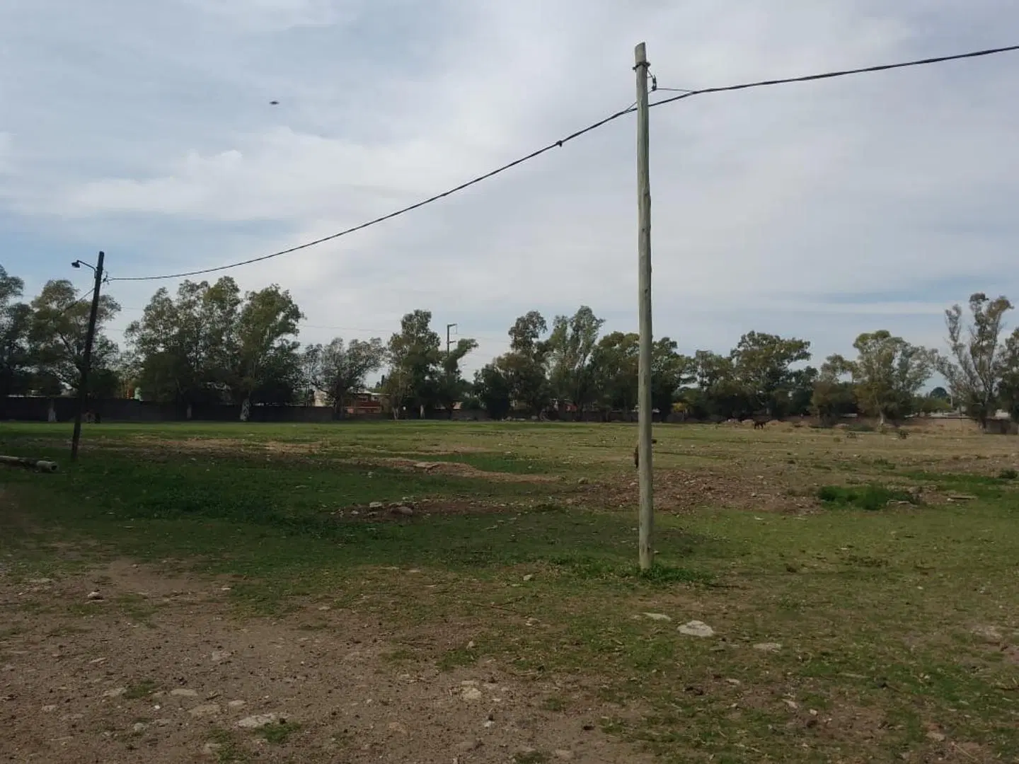 Venta Predio Para Loteo 9 Hectareas Ruta 4 5