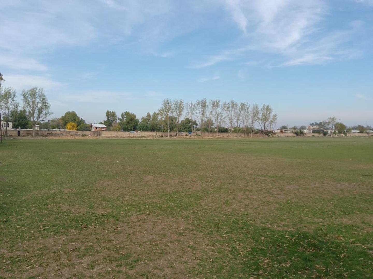 Foto de Venta Predio Para Loteo 9 Hectareas Ruta 4, imagen 4