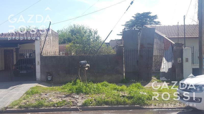 Foto de Amplio terreno con un galpon al fondo, imagen 2