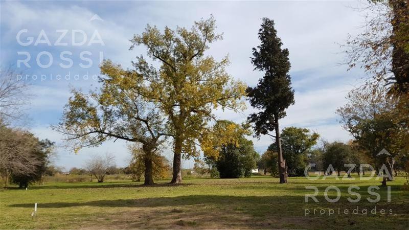 Terreno - Longchamps