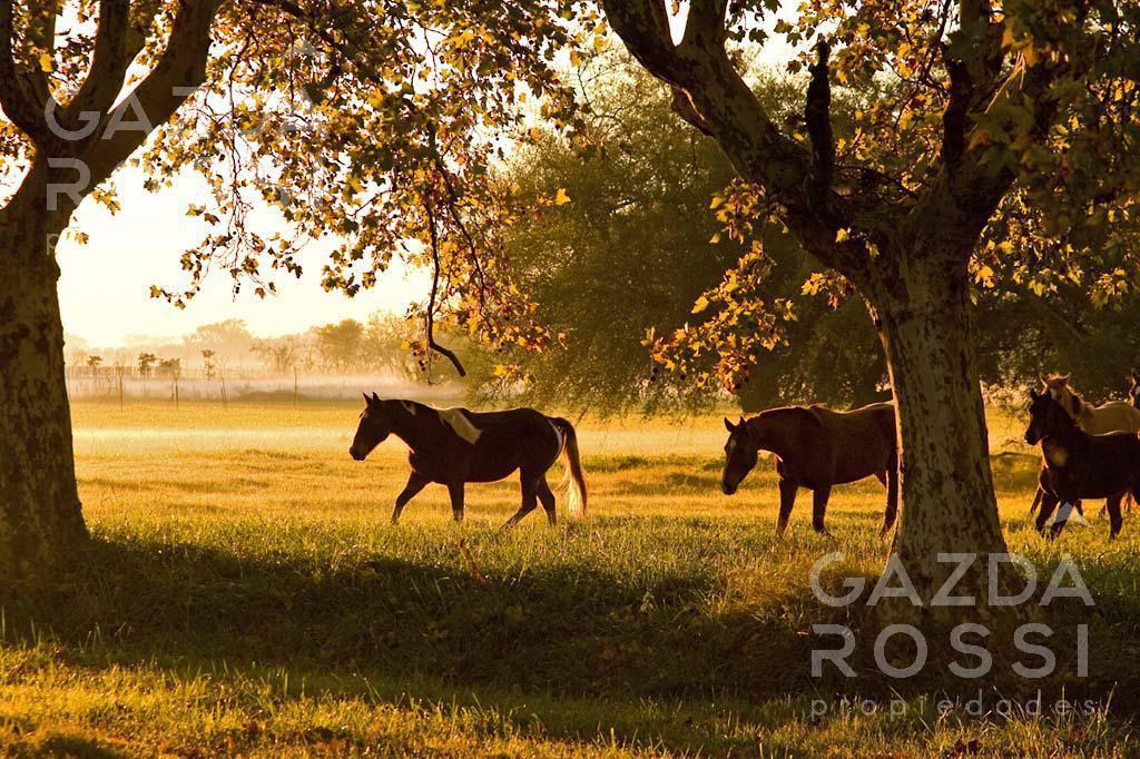 Espectacular lote a la venta en Los Álamos, Estancia Villa María.