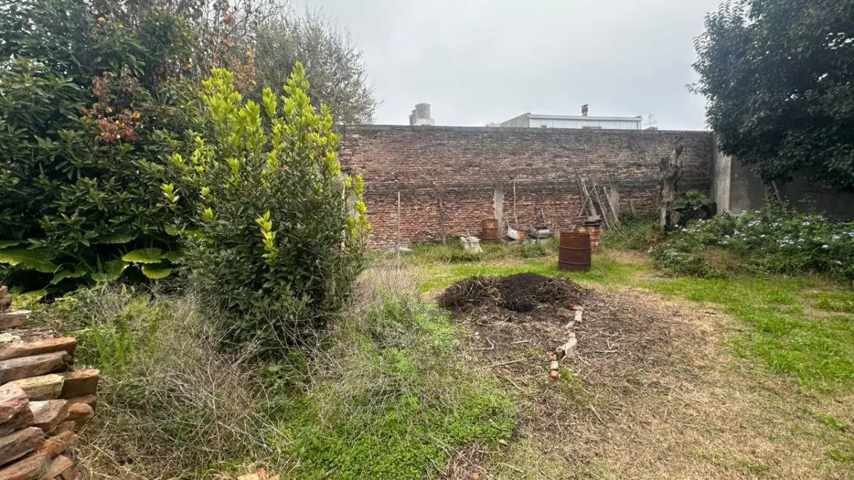 Casa a demoler s/ LOTE con buen rendiemiento constructivo, Calle 39 entre 1 y 115 de La Plata 4
