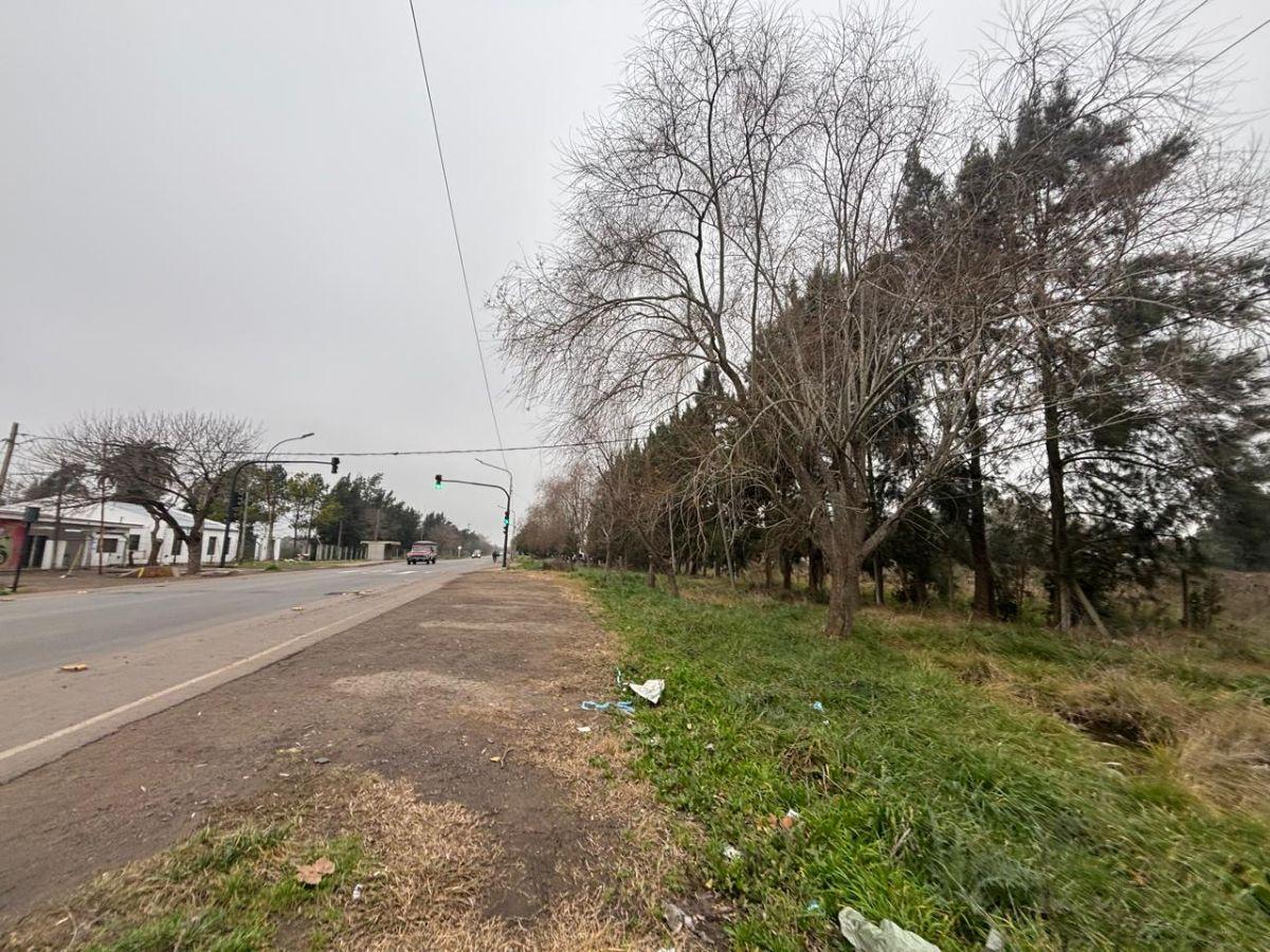 Foto de LOTE de TERRENO de 2265 m2 en VENTA, sobre Avenida 137 entre 85 y 86, imagen 4