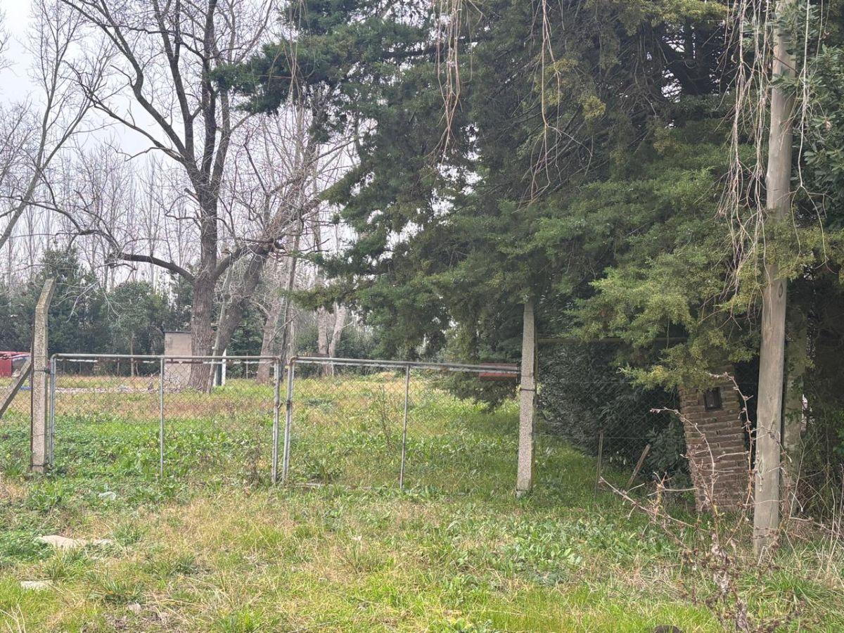 Foto de LOTE de TERRENO de 2265 m2 en VENTA, sobre Avenida 137 entre 85 y 86, imagen 3