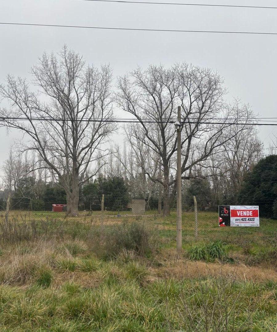 Foto de LOTE de TERRENO de 2265 m2 en VENTA, sobre Avenida 137 entre 85 y 86, imagen 5