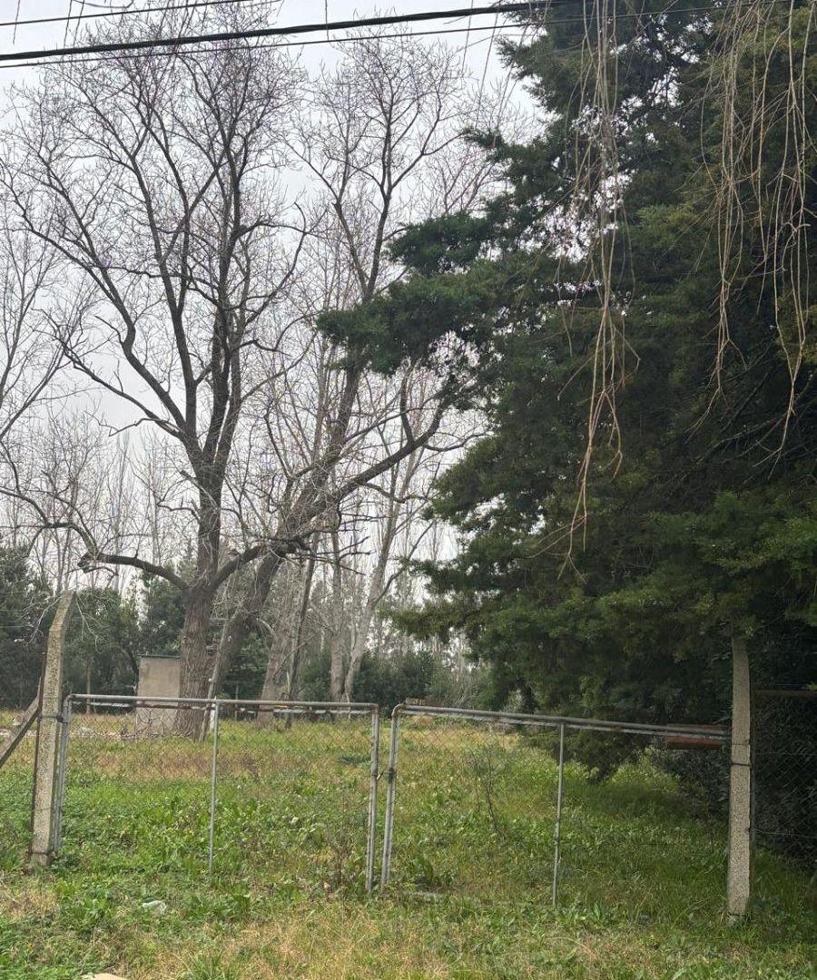 Foto de LOTE de TERRENO de 2265 m2 en VENTA, sobre Avenida 137 entre 85 y 86, imagen 2