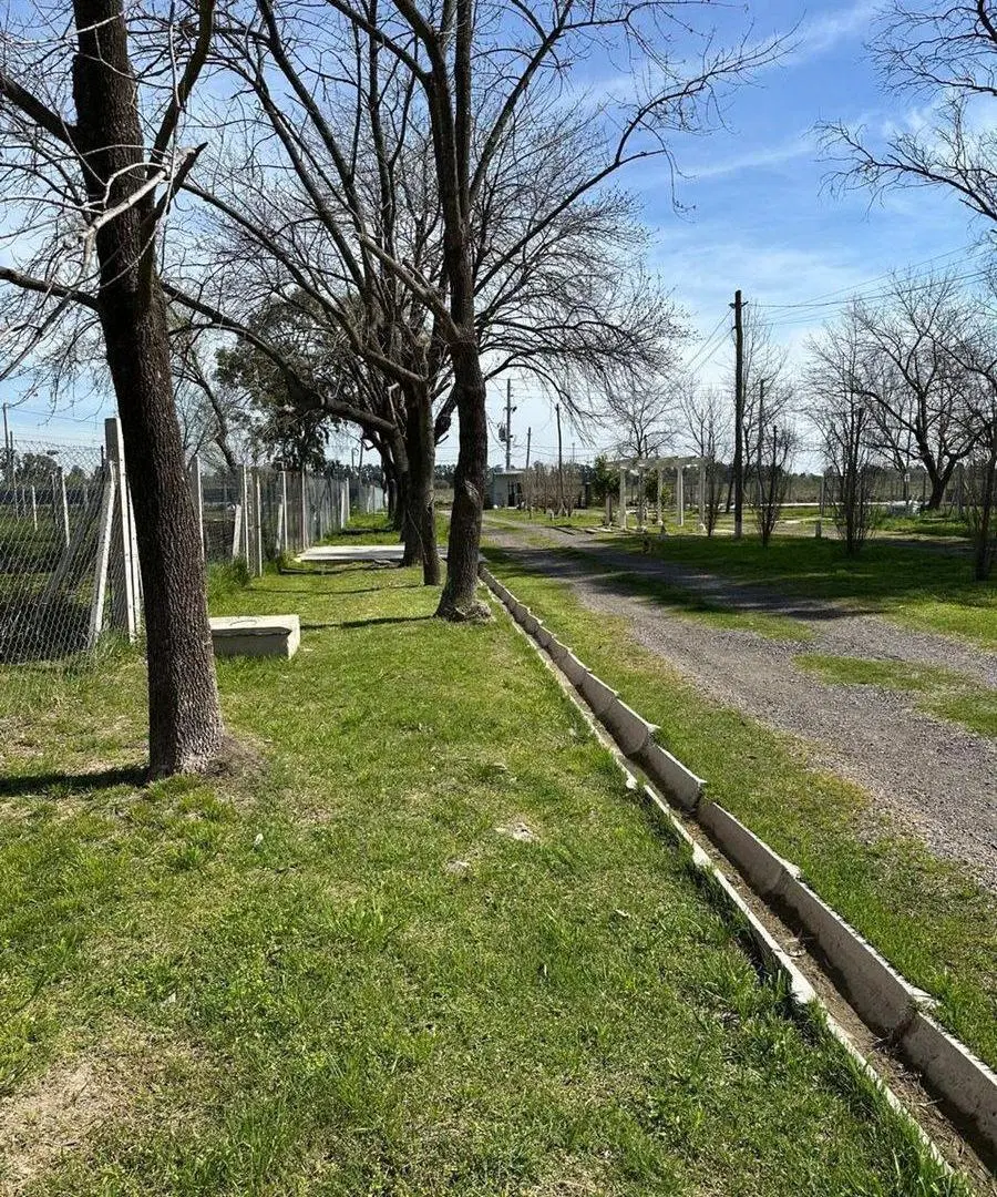 LOTE ARBOLADO (PARTE INVIDISA)-CONDOMINIO, PILAR 4
