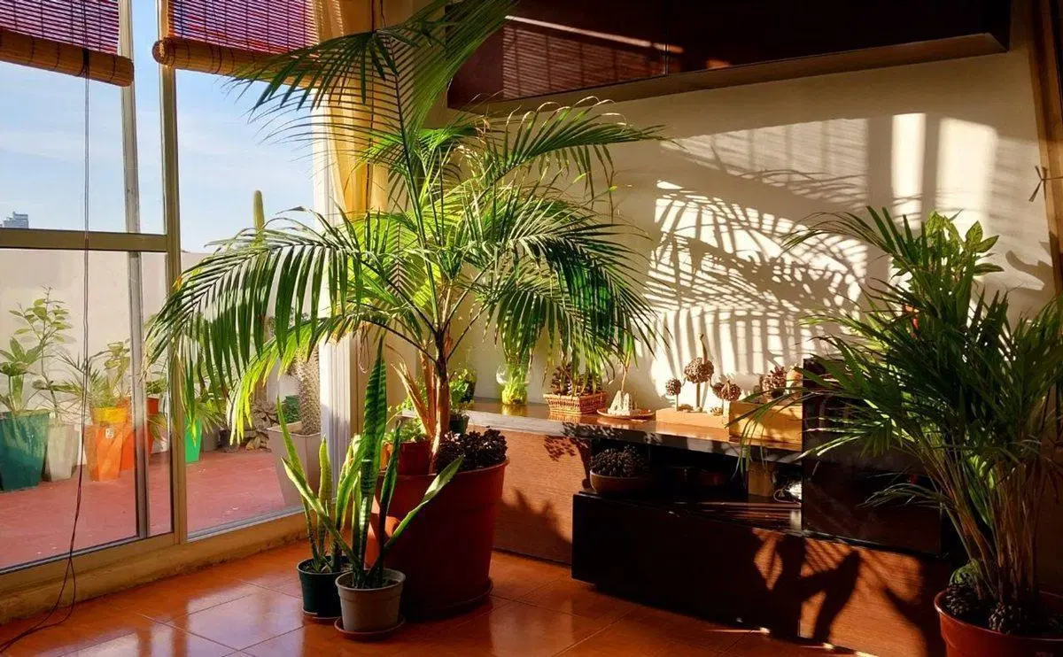 VENTA DEPARTAMENTO 2 AMBIENTES CON TERRAZA PROPIA 4