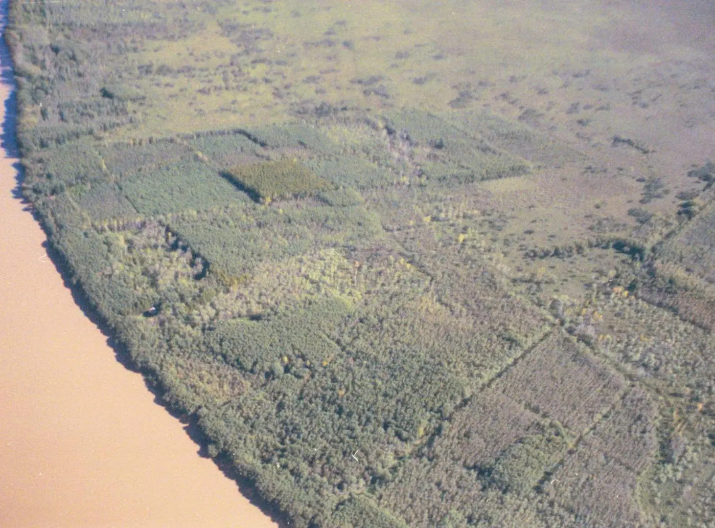 VENTA CAMPO 125 HA RÍO SAUCE 1.300 m. DE COSTA 3