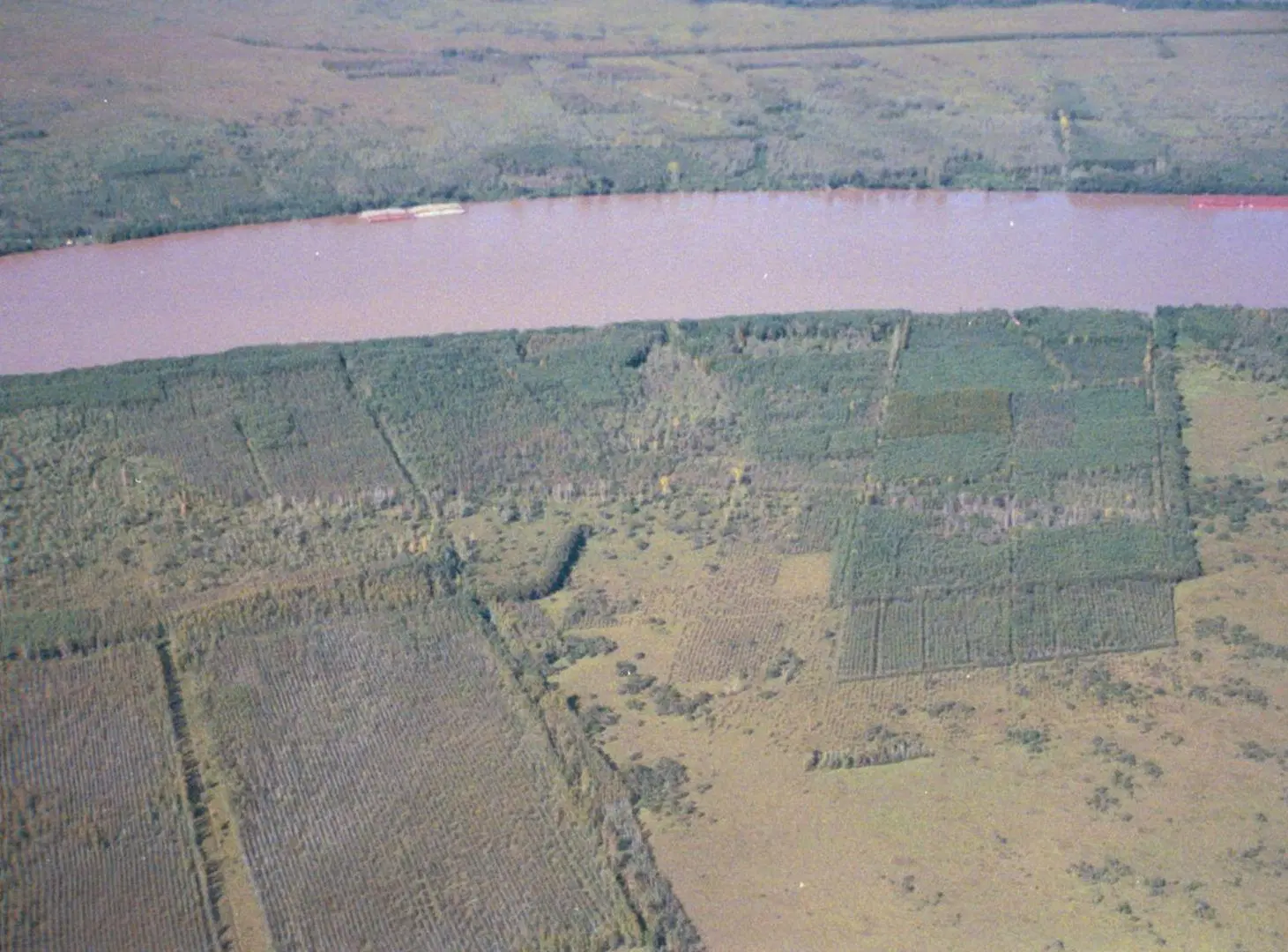 VENTA CAMPO 125 HA RÍO SAUCE 1.300 m. DE COSTA 4